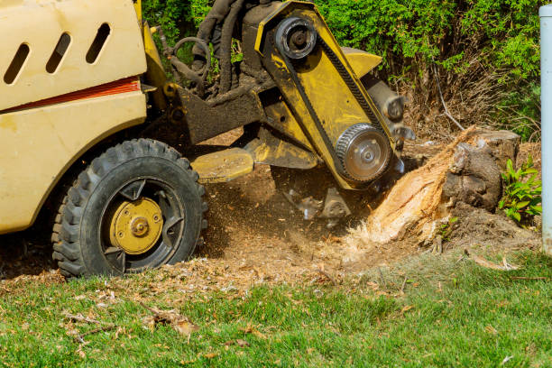 Artificial Turf Installation in Elizabethtown, PA